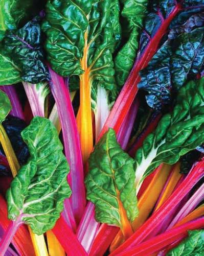Swiss chard bunch