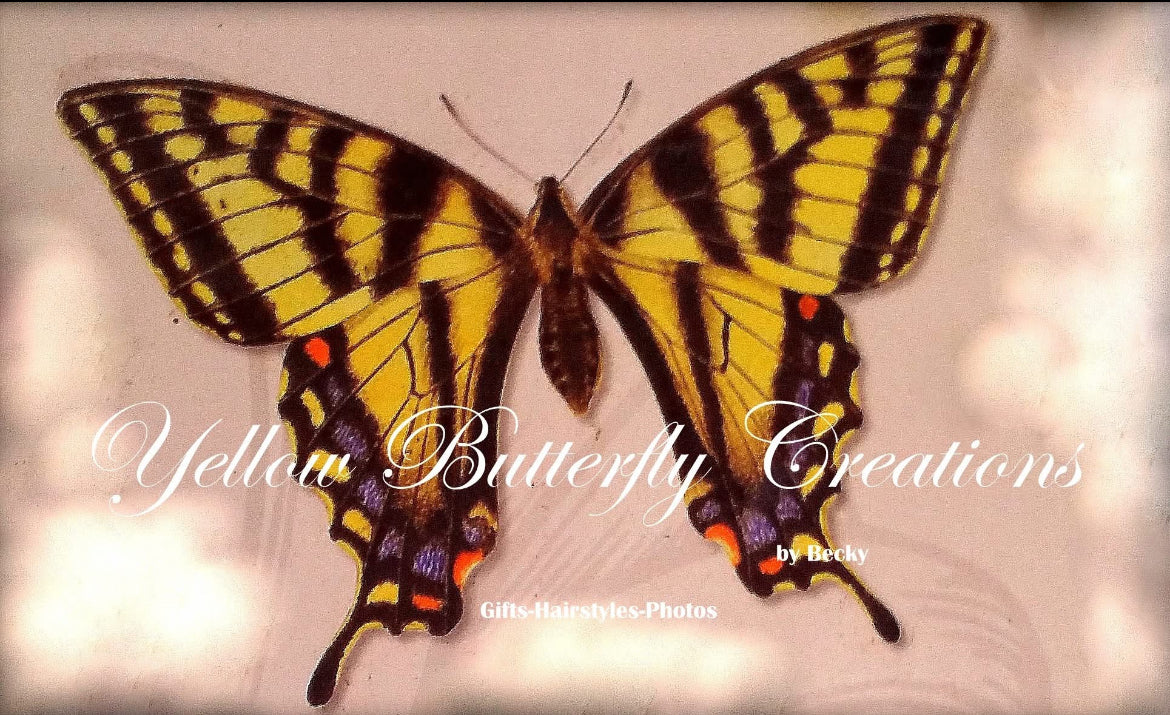 Yellow Butterfly Creations