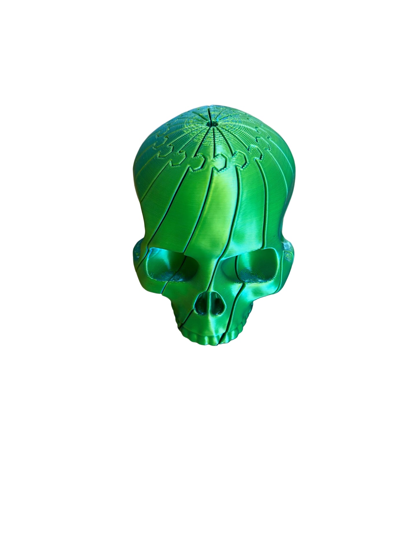 3D printed skull