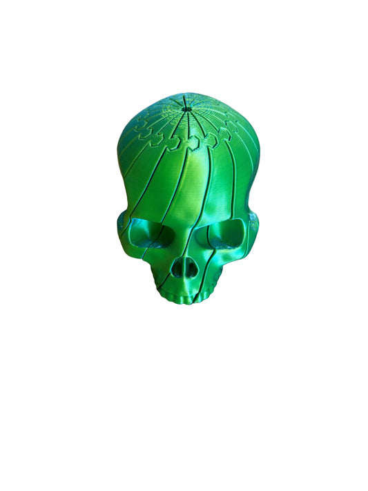 3D printed skull