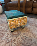 Foot Stool with Storage