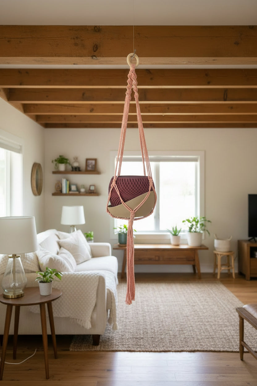 Single plant holders