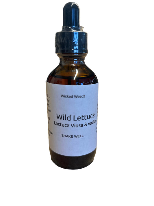 Wild lettuce tincture