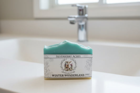 Winter Wonderland