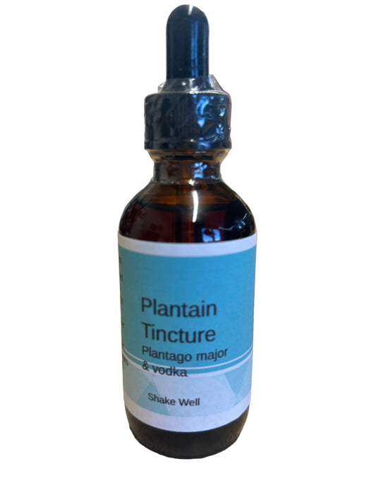 Plantain tincture