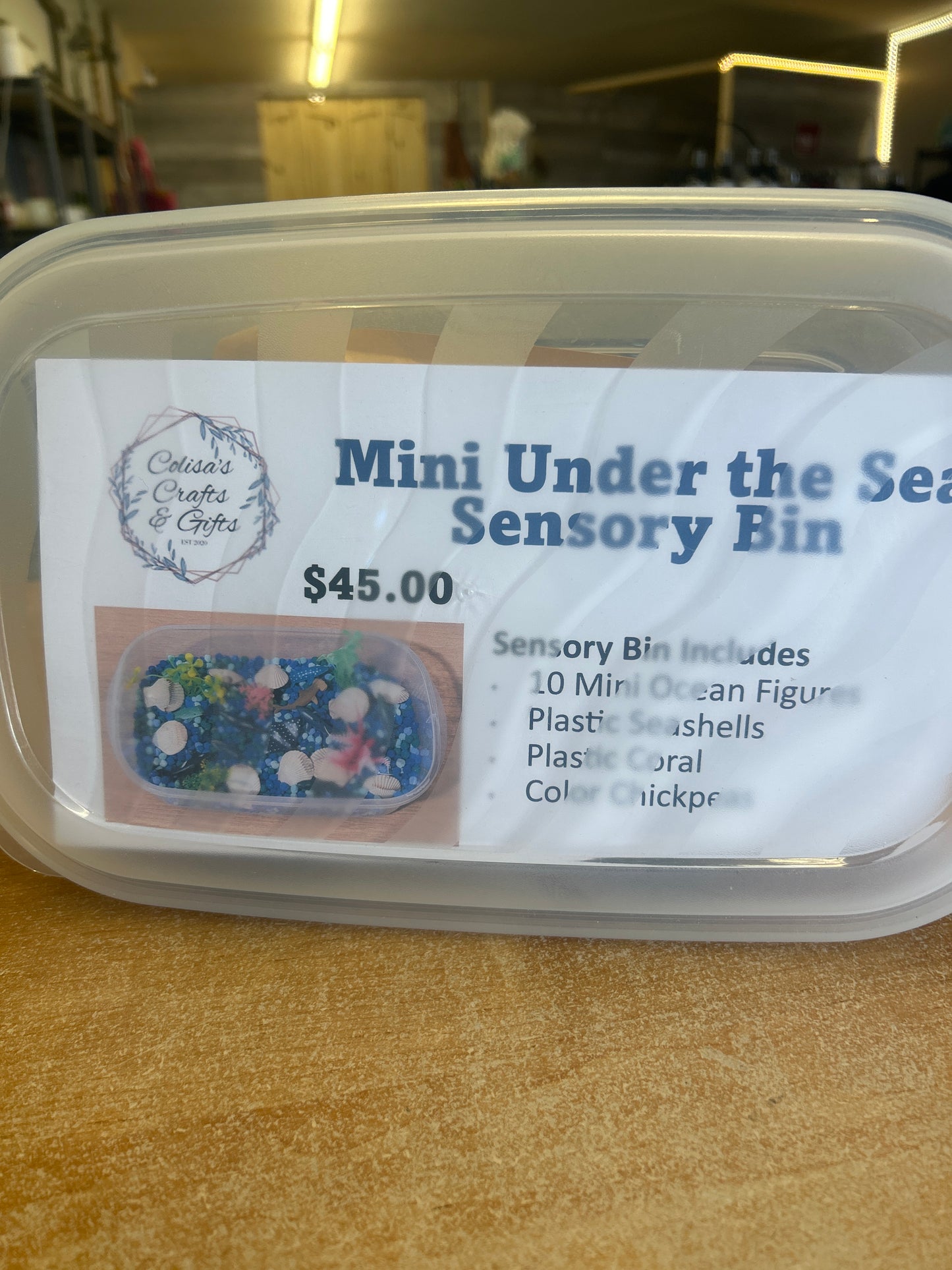 Mini under the sea sensory bin