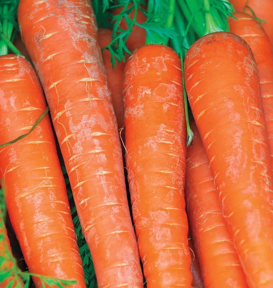 Carrots