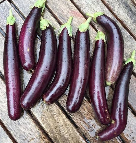 Eggplant 1lb bags
