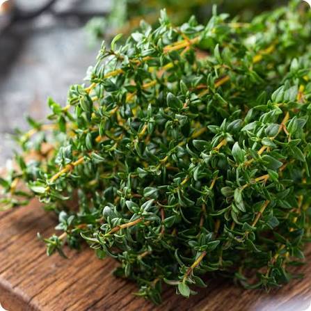 thyme